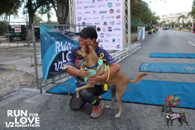 Run for Love 2024